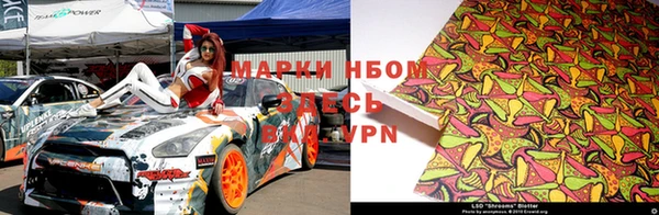 амф Ладушкин